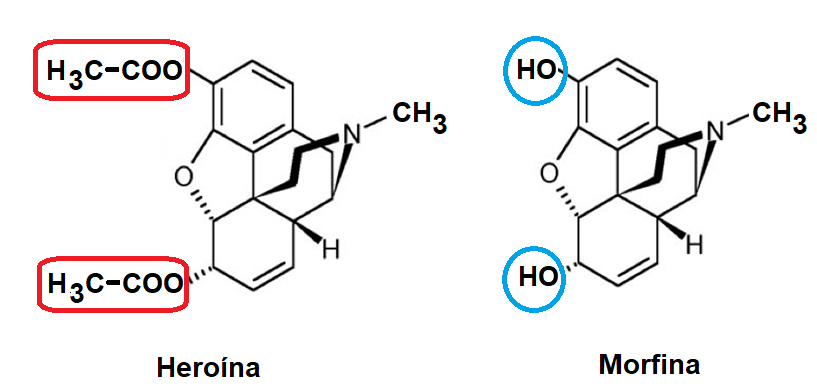 morfina heroína - (Português do Brasil) “Venho dos braços de Morfeu” - o que o ópio, a morfina e a heroína nos contam? (V.2, N.1, P.1, 2019)