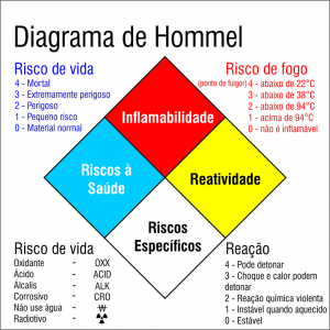 diagrama de hommel 300x300 - (Português do Brasil) Existe cura para o autismo? (V.2, N.7, P.3, 2019)