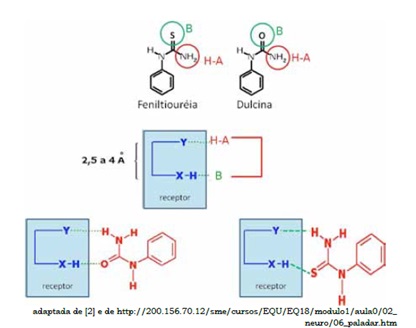 moleculas ligacoes hidrogenio - (Português do Brasil) A química dos sabores (V.3, N.1, P.3, 2020)