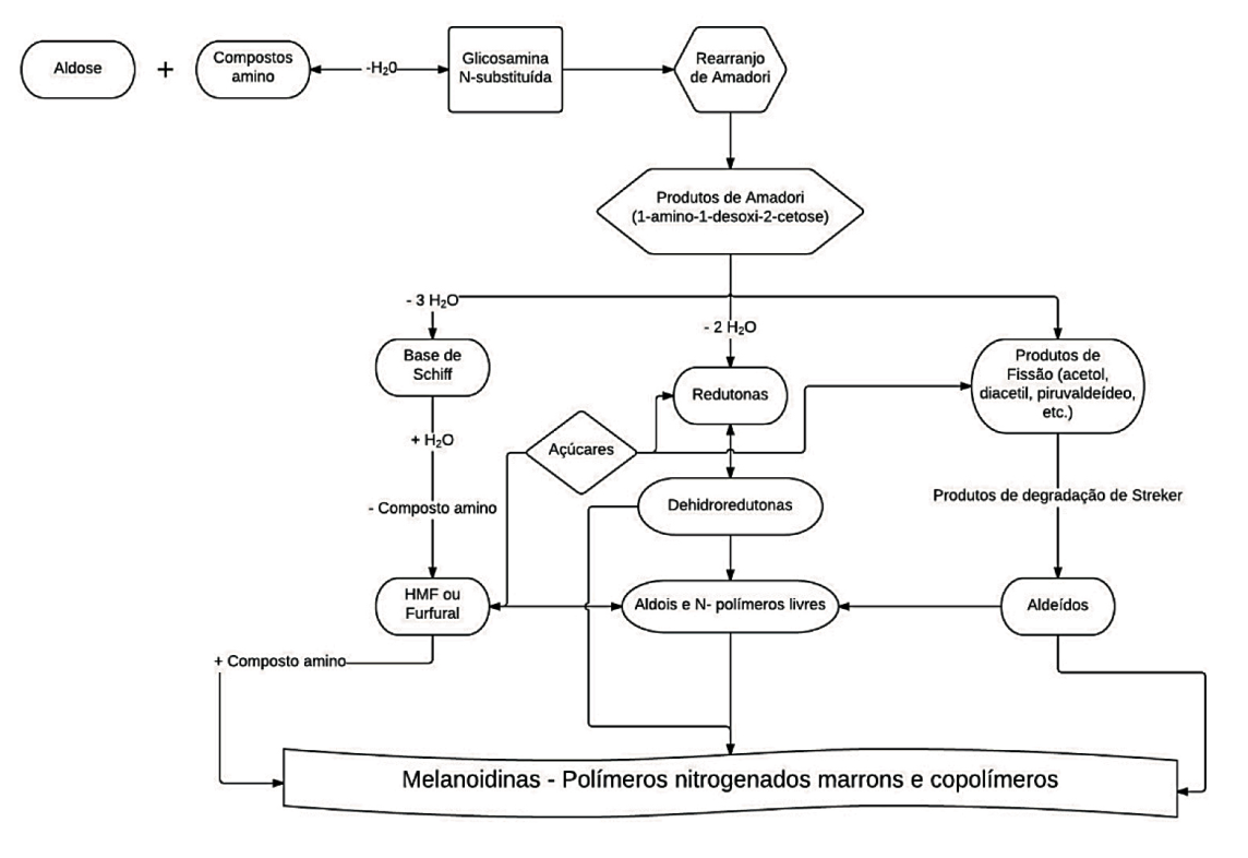 melanoidinas - Carne caramelizada: uma receita não-enzimática (V.3, N.8, P.3, 2020)